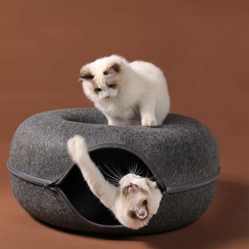 PurrTunnel Nest